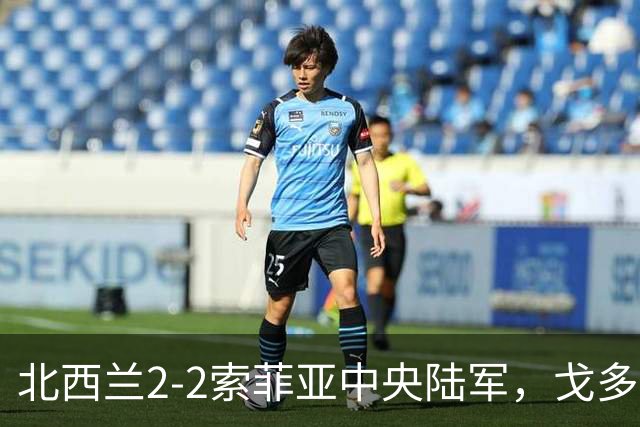 北西兰2-2索菲亚中央陆军，戈多伊先拔头筹，戈多伊救主