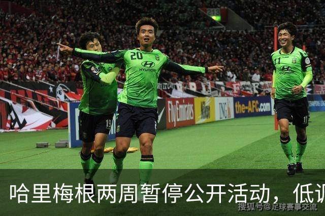 哈里梅根两周暂停公开活动，低调避风头，不抢查尔斯国王风头
