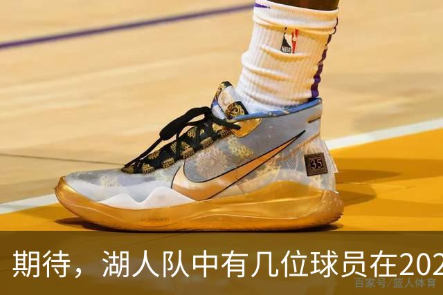 期待，湖人队中有几位球员在2026-27赛季有望迎来爆发赛季