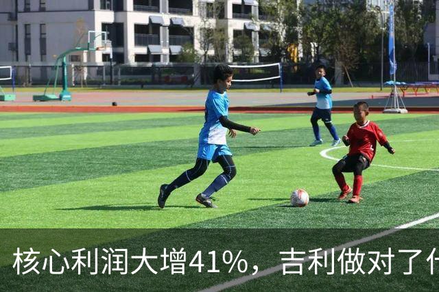 核心利润大增41%，吉利做对了什么