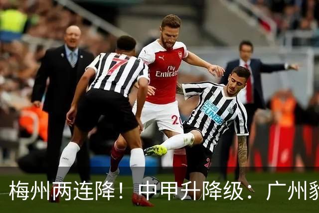 梅州两连降！中甲升降级：广州豹、南通支云冲超，梅州与佛山降级