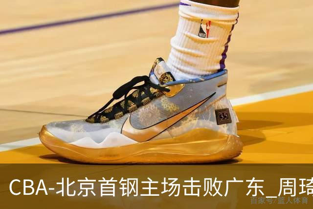 CBA-北京首钢主场击败广东 周琦强冲内线